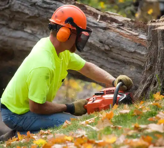 tree services Riverside